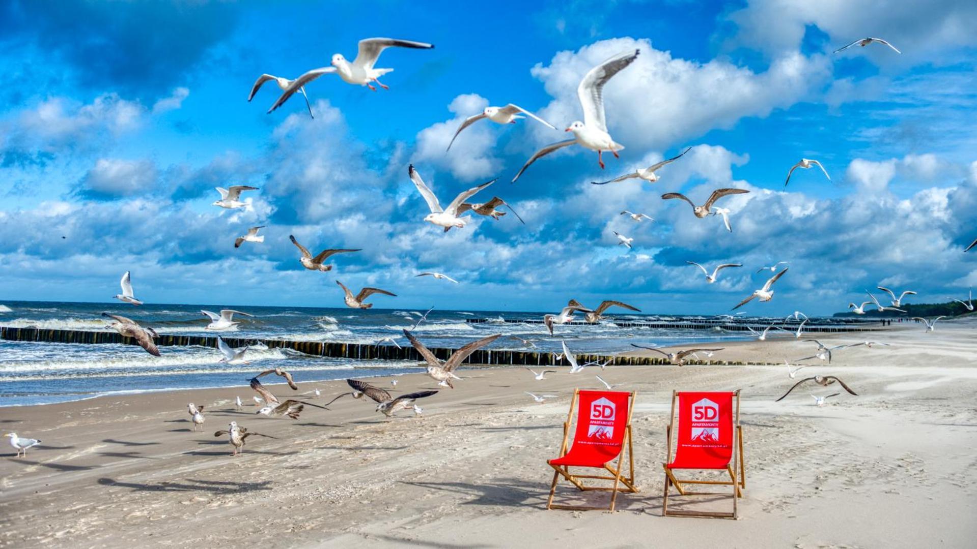 Rezydencja Niechorze 310 Z Widokiem Na Morze I Przy Plazy - 5D Apartamenty Dış mekan fotoğraf